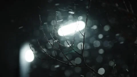 Winter snowfall drifts past backlit bare branches at night, shimmering in Video stock 327062248