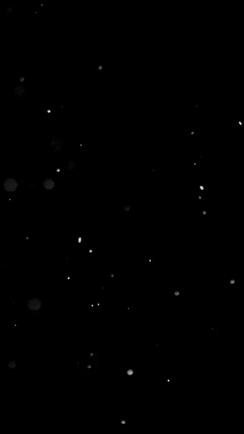 Winter snowfall. Dust Particles. Natural Floating Organic Particles On Black Stock-Footage 295347440