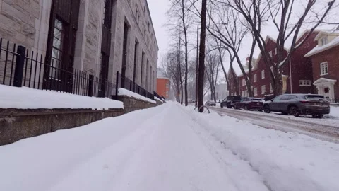Winter snowfall on empty city street with bare trees Stock Footage 323972427