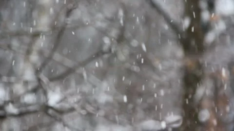 Winter snowfall Stock Footage 3677449
