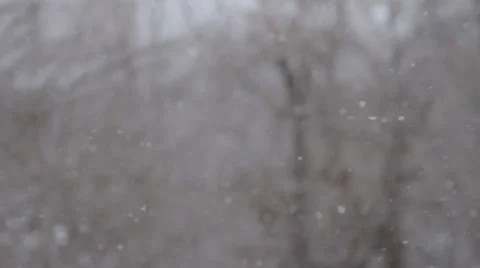 Winter. Snowfall Stock Footage 33322957