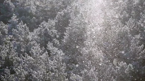 Winter  snowfall Stock Footage 52845835