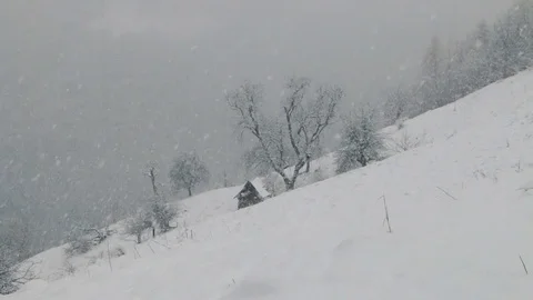 Winter snowfall Stock Footage 74228916