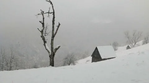 Winter snowfall Stock Footage 74229081