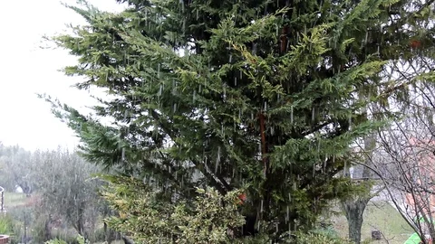 Winter snowfall Stock Footage 103659425