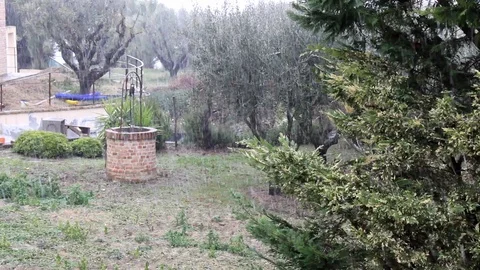 Winter snowfall Stock Footage 103659484