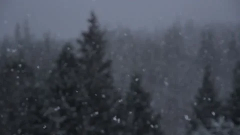 Winter Snowfall Video stock 132779715