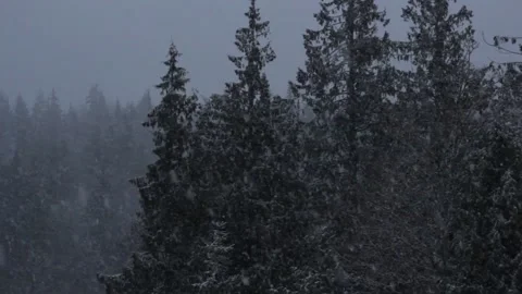 Winter Snowfall Stock Footage 132780131