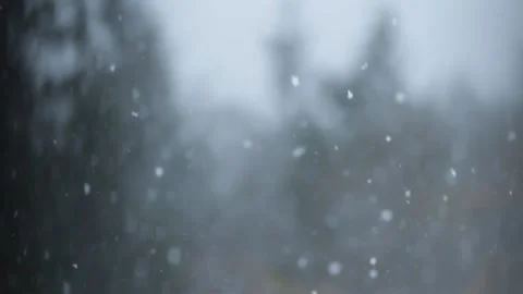 Winter Snowfall Video stock 132780210