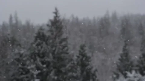 Winter Snowfall Video stock 132780295