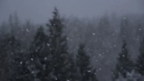 Winter Snowfall Stock Footage 132780931