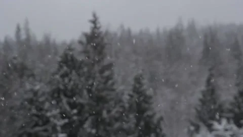 Winter Snowfall Video stock 132781101