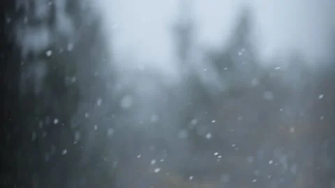 Winter Snowfall Stock Footage 132781146