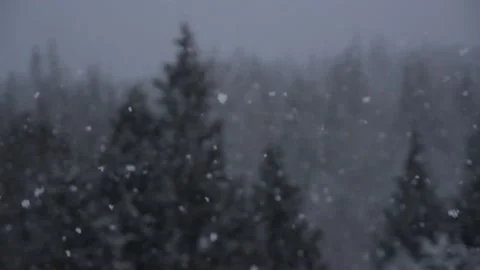 Winter Snowfall Video stock 132781248