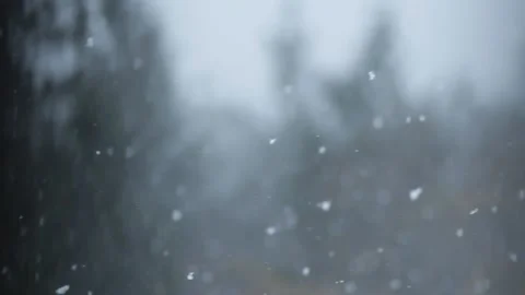 Winter Snowfall Stock Footage 132781843