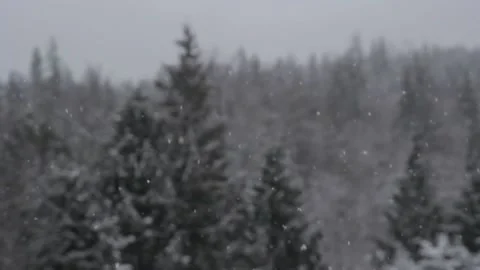 Winter Snowfall Video stock 132781982