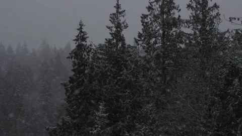 Winter Snowfall Stock Footage 132782265
