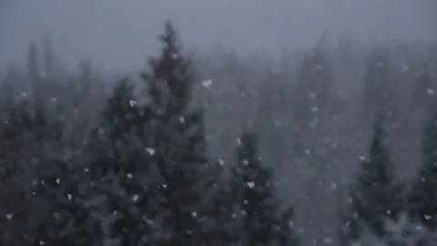Winter Snowfall Video stock 132782405