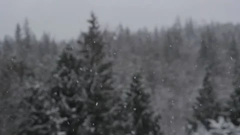 Winter Snowfall Video stock 132782595