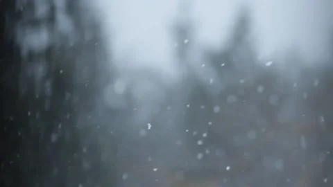 Winter Snowfall Stock Footage 132782747