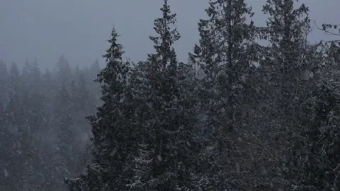 Winter Snowfall Video stock 132782907