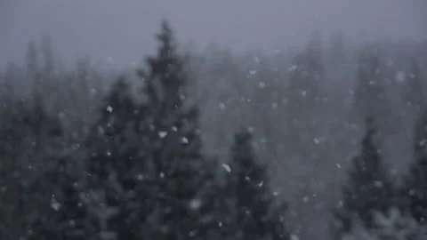 Winter Snowfall Video stock 132782992