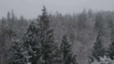 Winter Snowfall Video stock 132783501