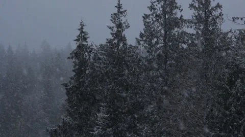 Winter Snowfall Stock Footage 132783922