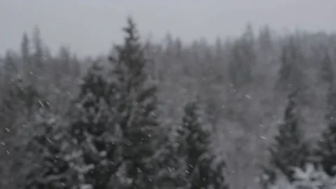 Winter Snowfall Video stock 132784396