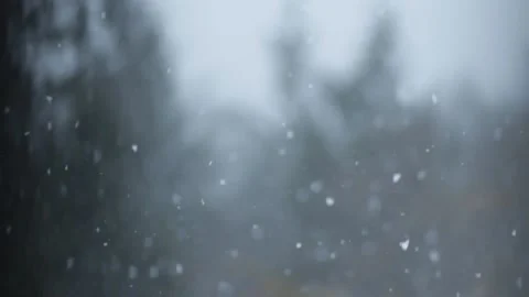 Winter Snowfall Stock Footage 132784447