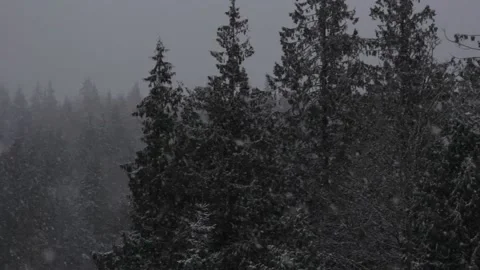 Winter Snowfall Stock Footage 132784448