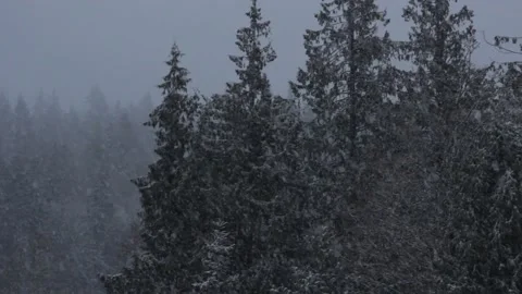 Winter Snowfall Video stock 132784662