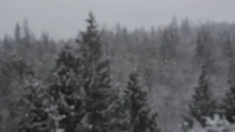 Winter Snowfall Stock Footage 132785161