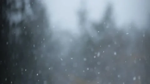 Winter Snowfall Stock Footage 132785242