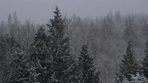 Winter Snowfall Stock Footage 132785824