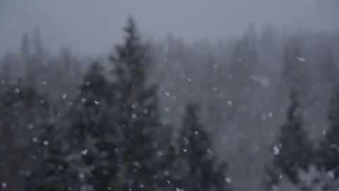 Winter Snowfall Stock Footage 132786041