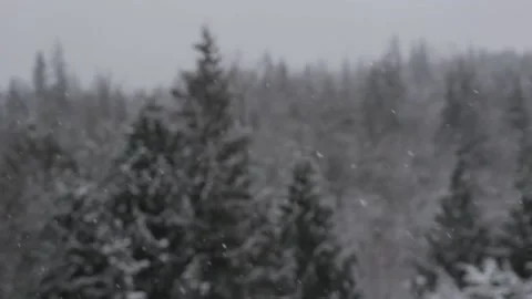 Winter Snowfall Stock Footage 132786658