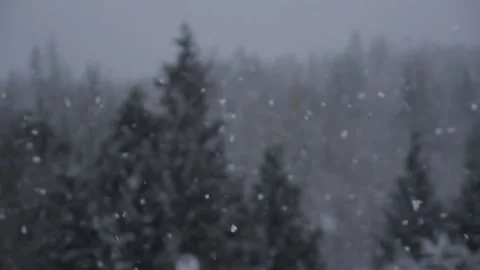 Winter Snowfall Stock Footage 132787306