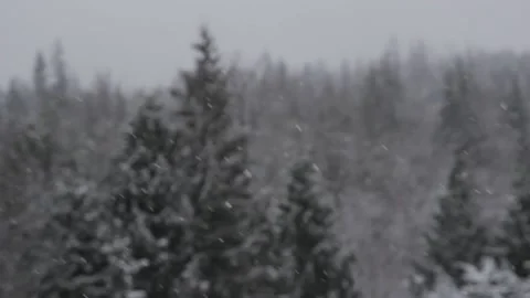 Winter Snowfall Stock Footage 132787417