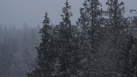 Winter Snowfall Video stock 132787892