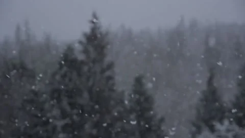 Winter Snowfall Stock Footage 132788024