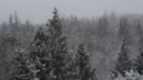 Winter Snowfall Stock Footage 132788505
