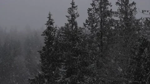 Winter Snowfall Video stock 132788547