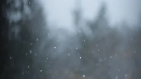 Winter Snowfall Stock Footage 132788563