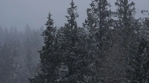Winter Snowfall Video stock 132788852