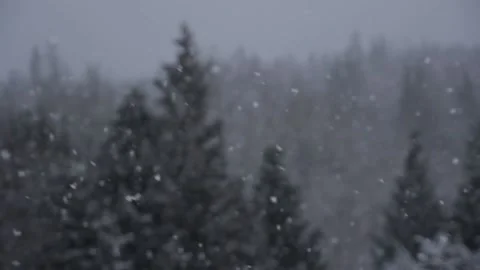 Winter Snowfall Stock Footage 132789158