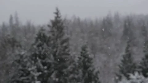 Winter Snowfall Stock Footage 132789478