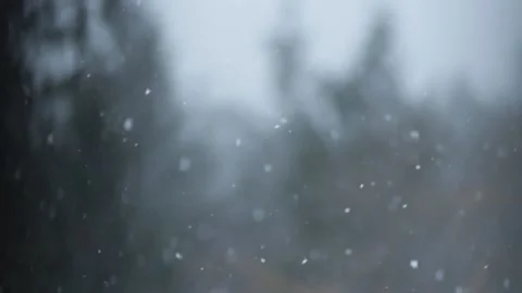 Winter Snowfall Video stock 132789523