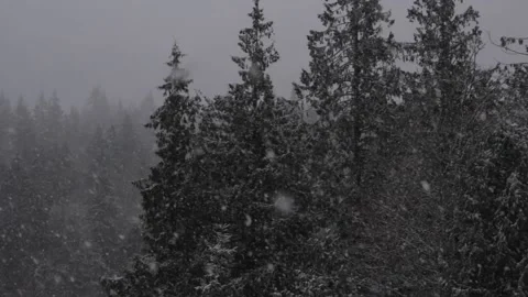 Winter Snowfall Stock Footage 132789900