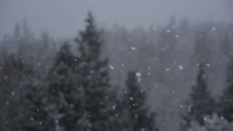 Winter Snowfall Stock Footage 132789992